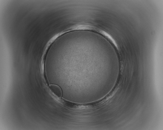 X0000116671419200912141331