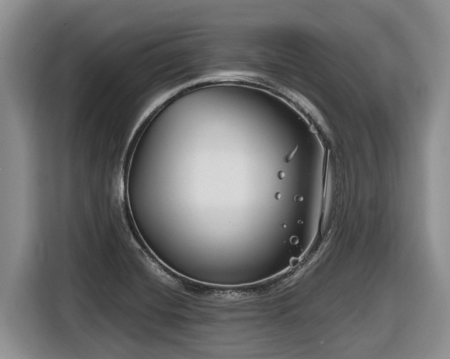 X0000116671420200912141331