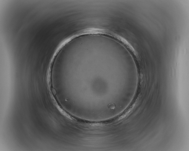 X0000116671421200912141331