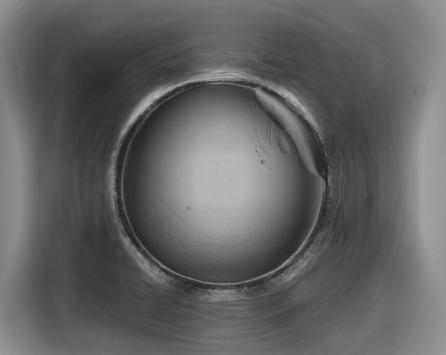 X0000116671422200912141331