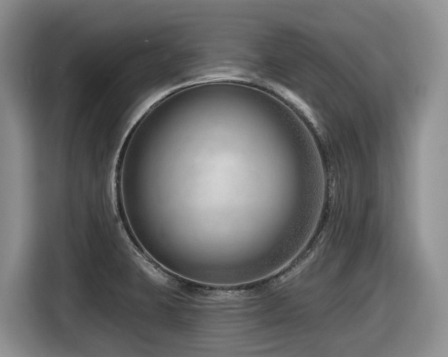 X0000116671423200912141331