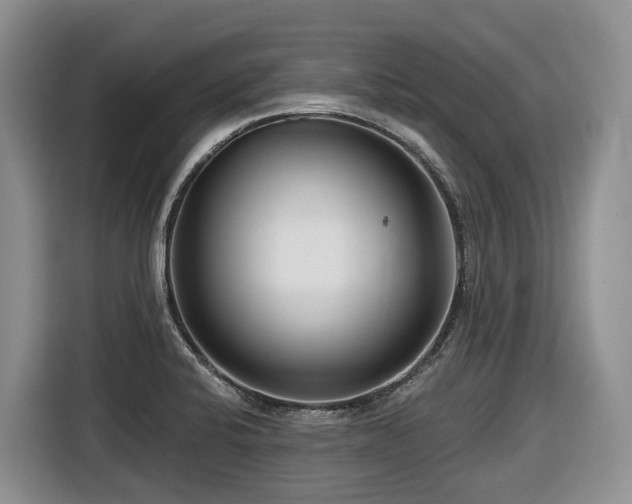 X0000116671424200912141331