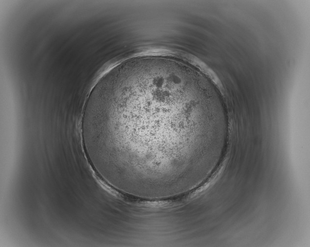 X0000116671425200912141331