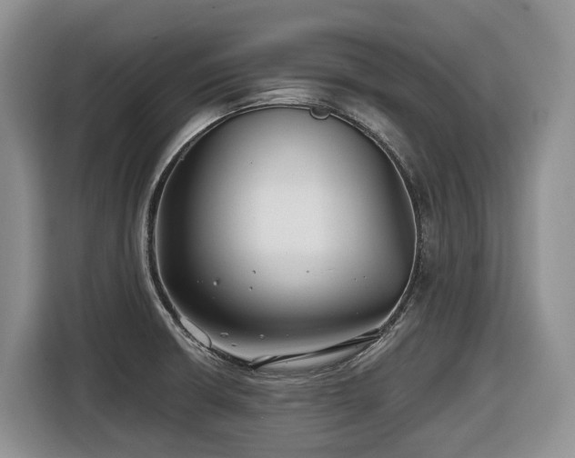 X0000116671426200912141331