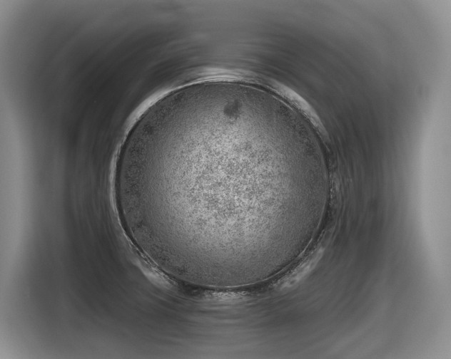 X0000116671427200912141331