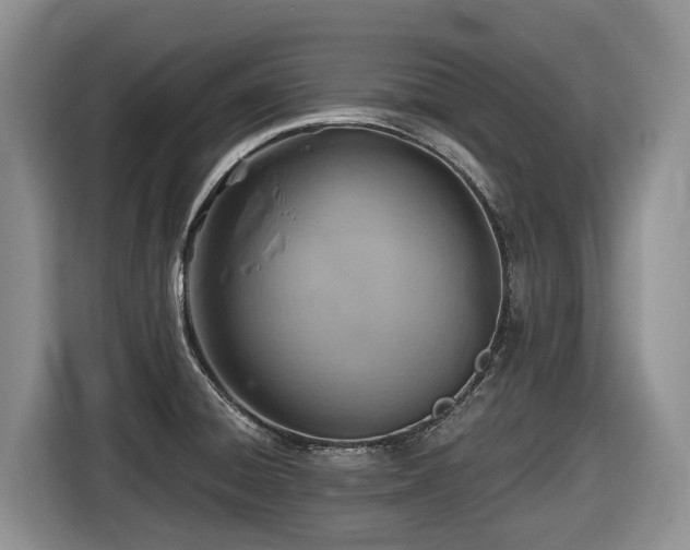 X0000116671428200912141331