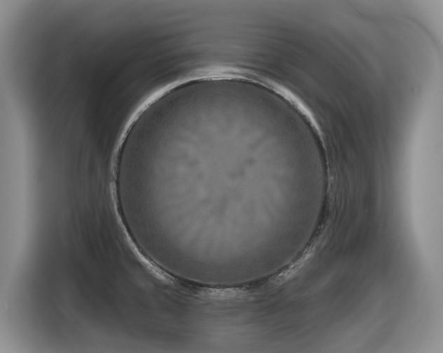 X0000116671429200912141331