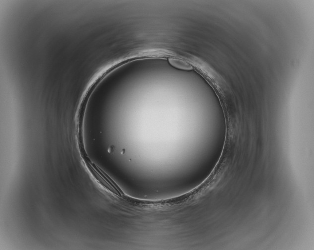 X0000116671430200912141331