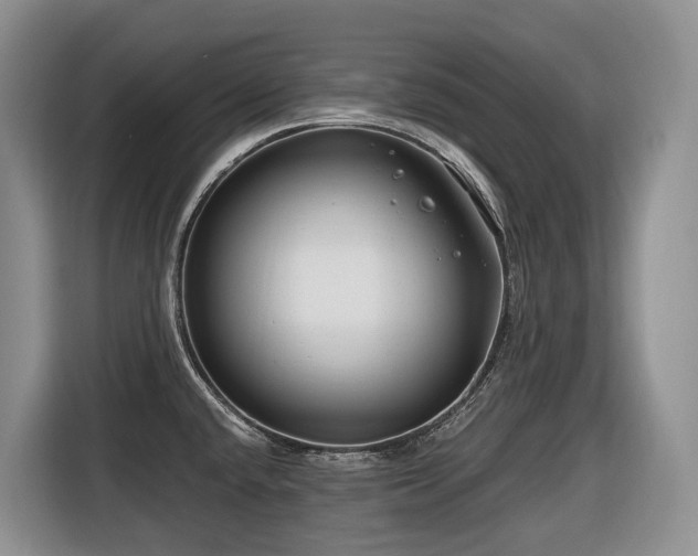 X0000116671432200912141331