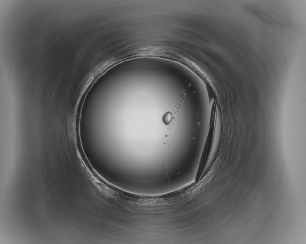 X0000116671434200912141332