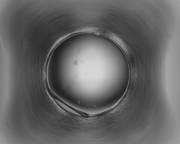 X0000116671436200912141332