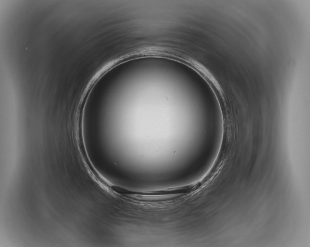 X0000116671437200912141332