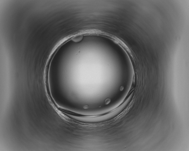 X0000116671438200912141332