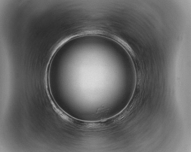 X0000116671439200912141332