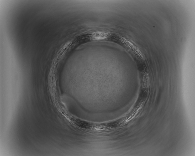 X0000116671441200912141331