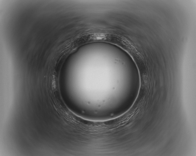 X0000116671442200912141331