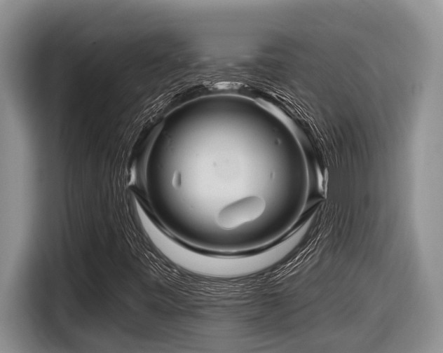 X0000116671443200912141331