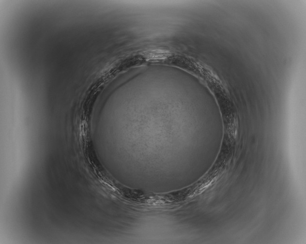 X0000116671445200912141331