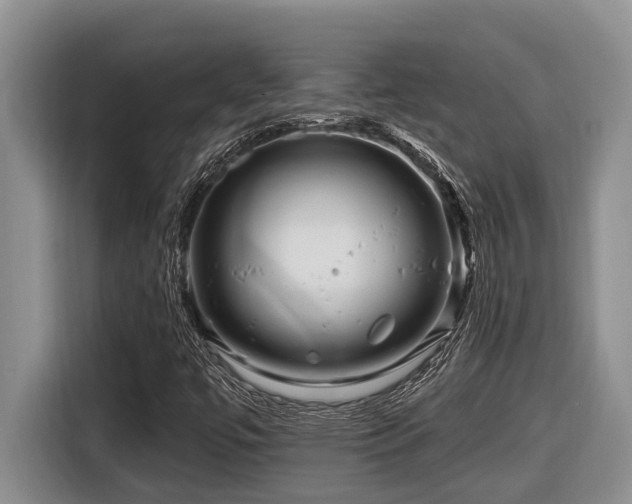 X0000116671447200912141331