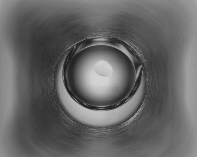 X0000116671449200912141331