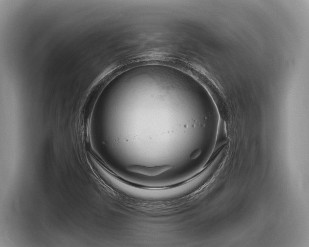 X0000116671450200912141331