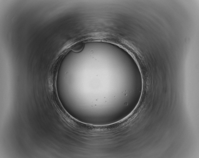 X0000116671451200912141331