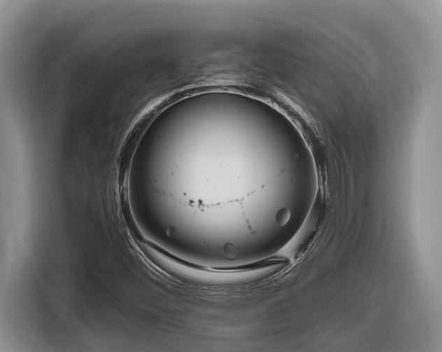 X0000116671452200912141331