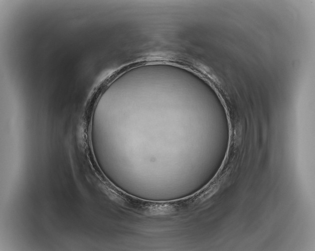 X0000116671454200912141331