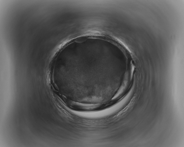 X0000116671455200912141331