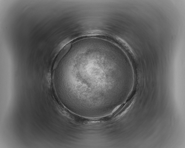 X0000116671457200912141331