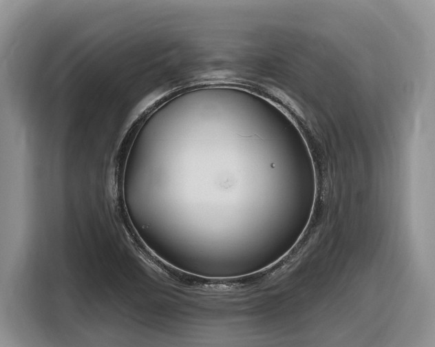X0000116671458200912141331