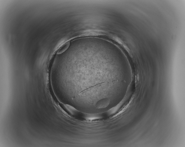 X0000116671459200912141331