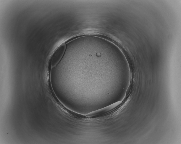 X0000116671461200912141331
