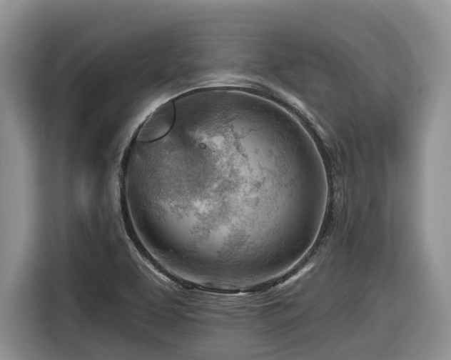 X0000116671463200912141331