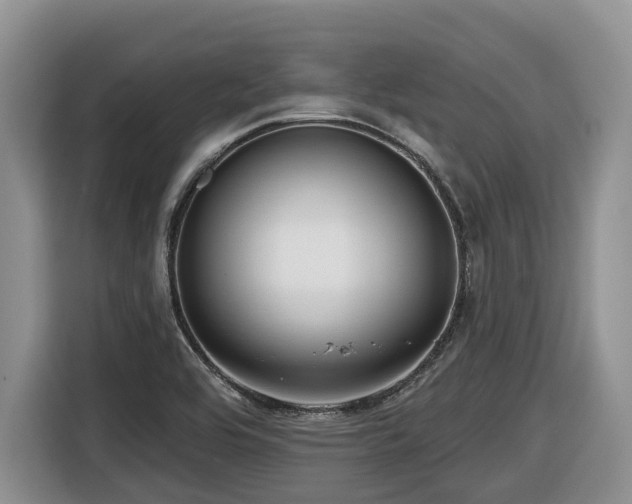 X0000116671464200912141331