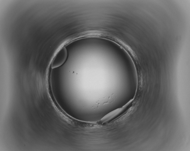 X0000116671475200912141331