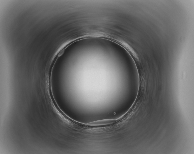 X0000116671476200912141331