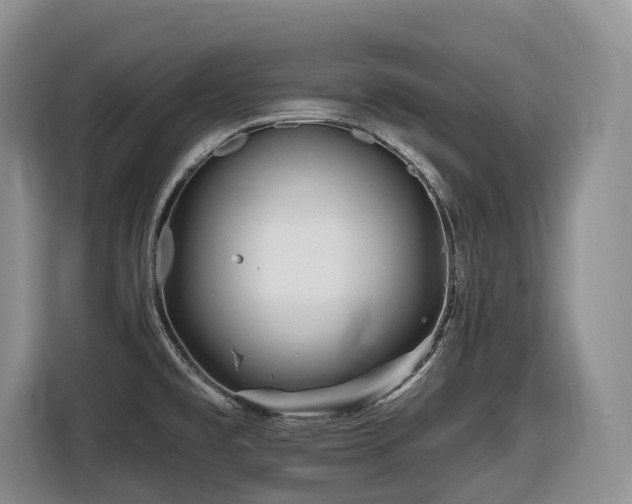 X0000116671477200912141331
