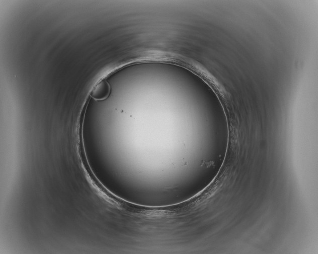 X0000116671479200912141330