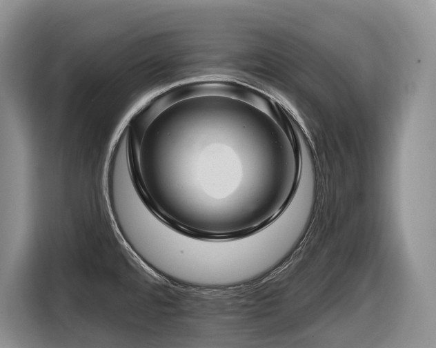 X0000116671480200912141330