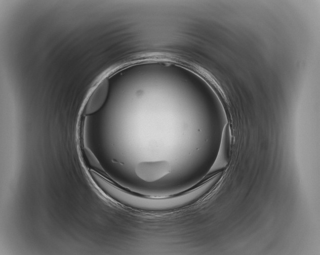 X0000116671482200912141330