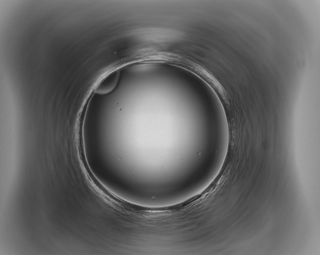 X0000116671483200912141330