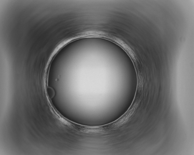 X0000116671486200912141330
