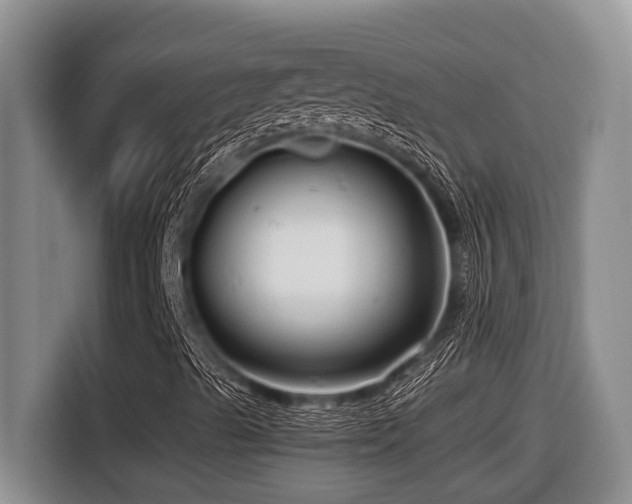 X0000116671489200912141330