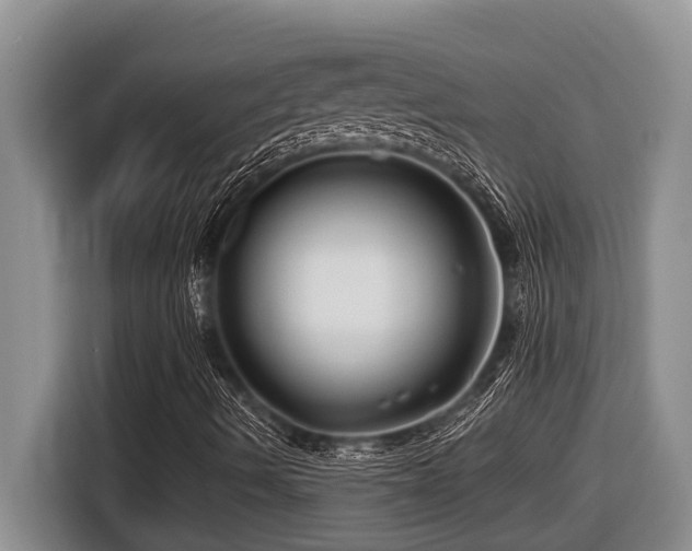 X0000116671490200912141330