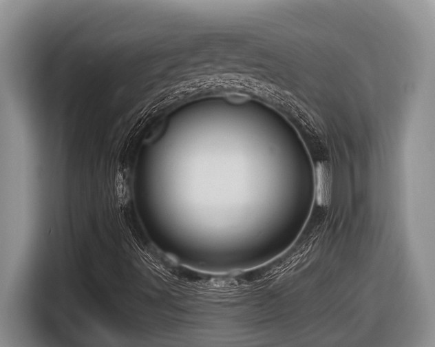 X0000116671491200912141330