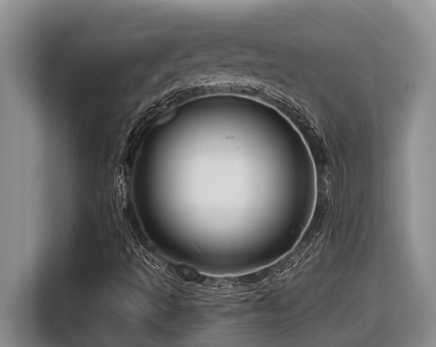 X0000116671493200912141330