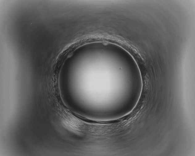 X0000116671494200912141330