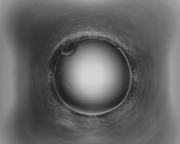 X0000116671495200912141330