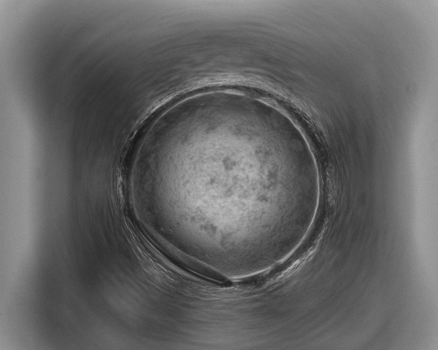 X0000116671497200912141330
